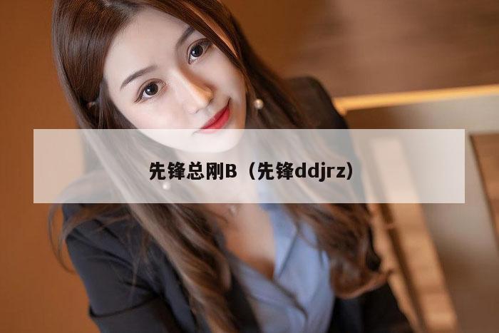 先锋总刚B(先锋ddjrz)