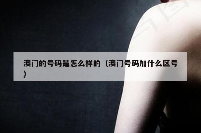 澳门的号码是怎么样的(澳门号码加什么区号)